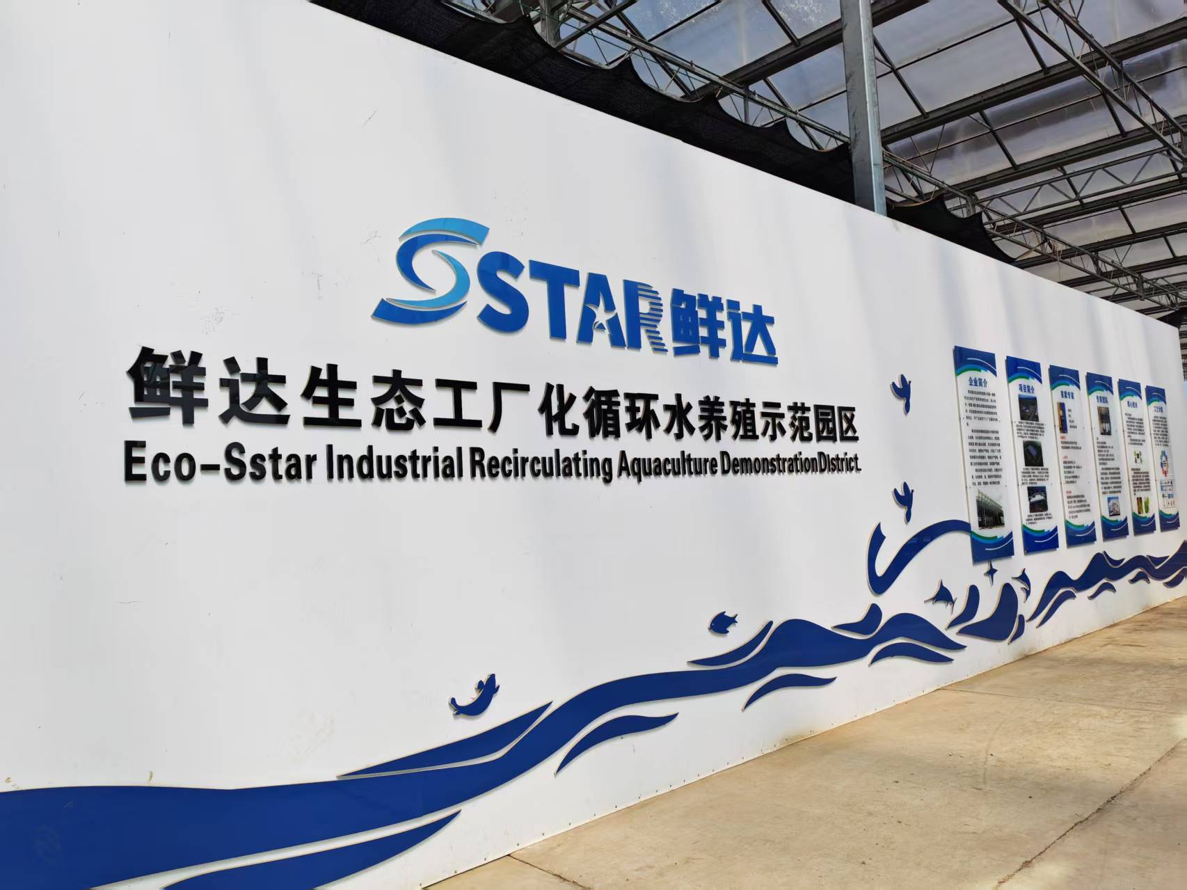 科技赋能 生态筑底 青岛天辰娱乐高质量发展纪实